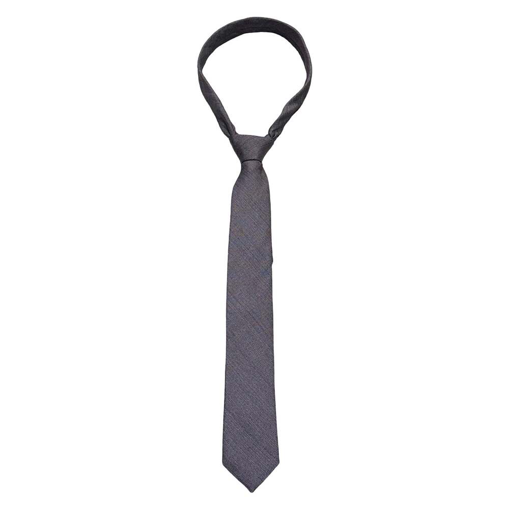 Ryan Seacrest Distinction Purple Gray Silk Linen Blend Pre-Tied Zip Neck Tie